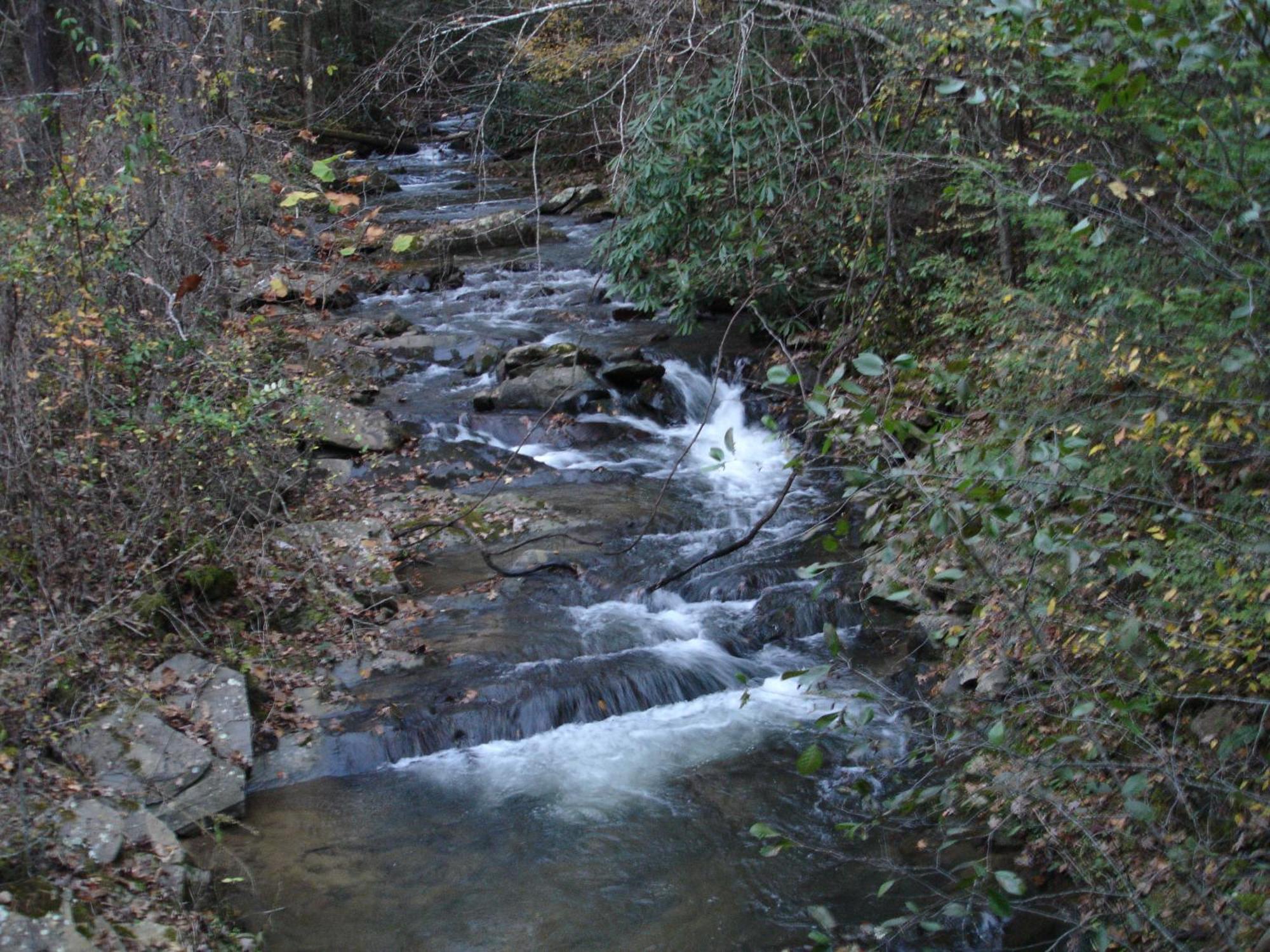 Stairway To Heaven, Breathtaking Mtn Views Indoor Pool & Hot Tub Διαμέρισμα Gatlinburg Εξωτερικό φωτογραφία